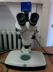 Binocular Stereo Microscope Binocular Stereo Microscope