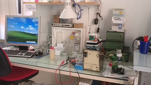 Strumentazione per la determinazione di proprietà viscoelastiche di sistemi cellulari