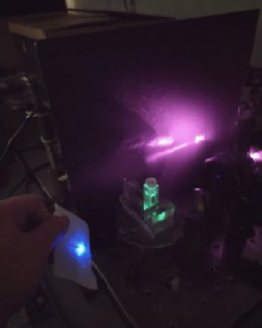 Luminescenza di molecole disperse in solvente liquido.