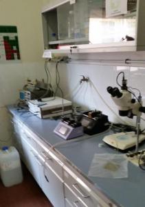 Reattore microfluidico 