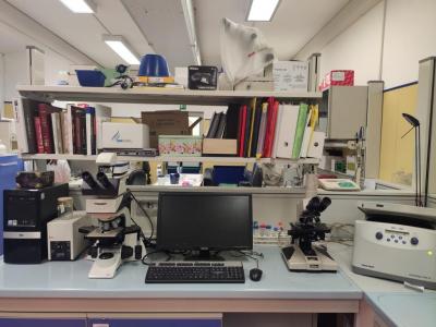 bancone con microscopio e centrifuga refrigerata bancone con microscopio e centrifuga refrigerata