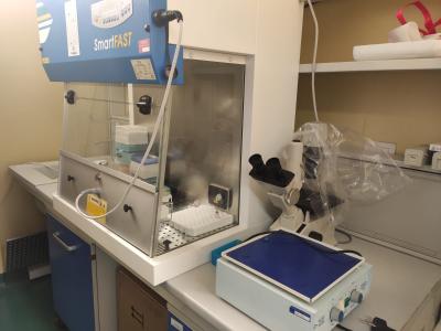 cappa a flusso laminare SMART FAST cappa a flusso laminare SMART FAST