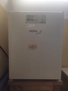 incubatore incubatore