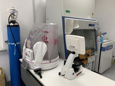 Hypoxic lab2 Hypoxic lab2