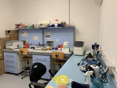 hypoxic lab4 hypoxic lab4