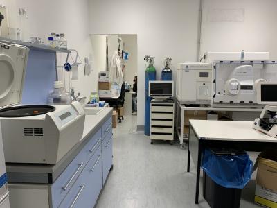 hypoxic lab5 hypoxic lab5