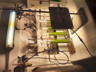 Sezione micropilota coltivazione microalgale