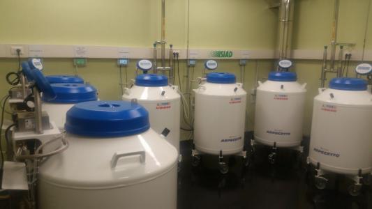 Banca del Seme "Loredana Gandini"