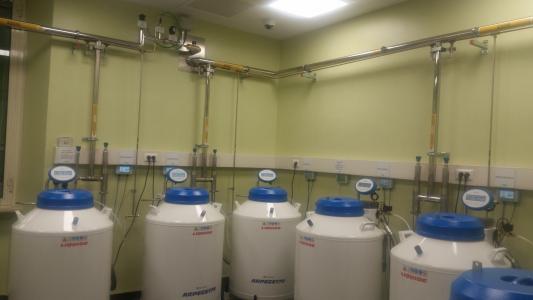 Banca del Seme "Loredana Gandini"