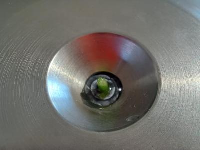 Particolare della camera a pressione di Scholander 