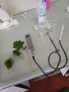 Conduttimetro per la misura della conducibilità elettrica delle soluzioni