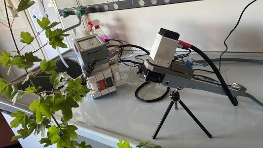 Analizzatore per misure integrate di scambi gassosi e fluorescenza della clorofilla