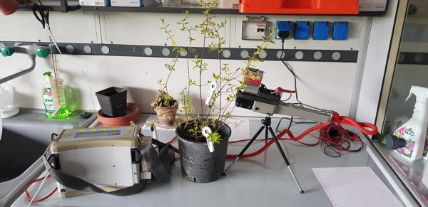 Analizzatore di scambi gassosi