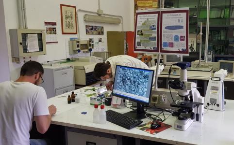 Miscroscopio con telecamera per acquisizione delle immagini