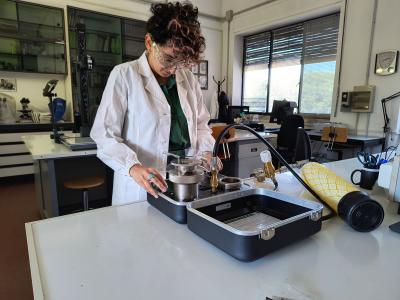 Camera a pressione di Scholander 