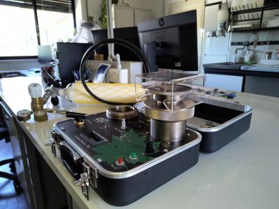 Camera a pressione di Scholander 