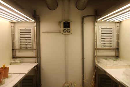 Cella climatica Bertagnin