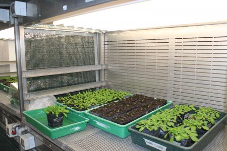 cella climatica cella climatica