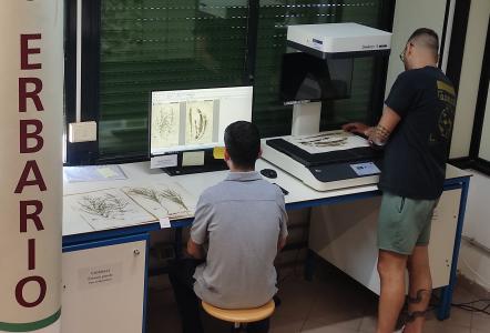 attività didigitalizzazione