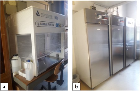 Cappa a flusso laminare e Armadi germinatoi