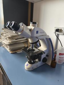 Microscopio Primo Star Microscopio Primo Star