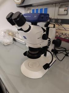 Microscopio Stemi 305 Microscopio Stemi 305