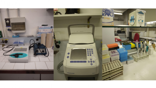 Strumentazione di base del laboratorio (da sn): Piastre termostatatata, vortex, PCR thermocycler, materiale di consumo e pipette da laboratorio
