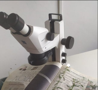 Stereomicroscopio Stereomicroscopio