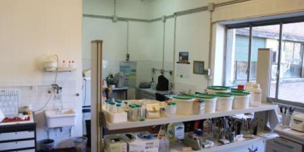 laboratorio laboratorio