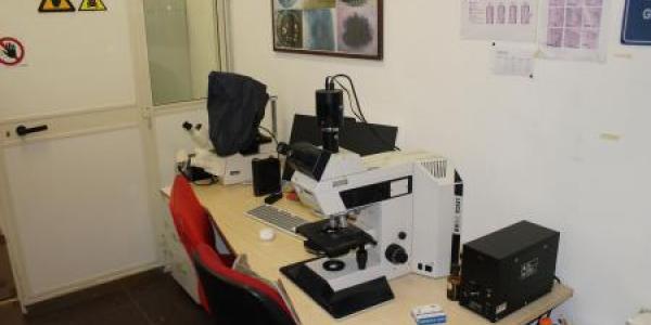 laboratorio laboratorio