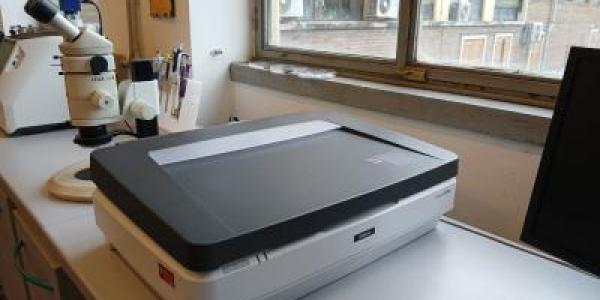 laboratorio laboratorio