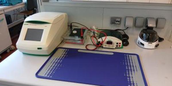 laboratorio laboratorio