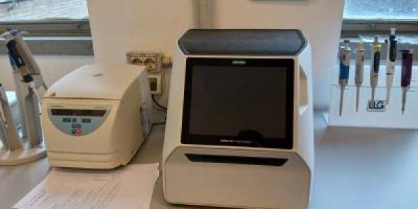 laboratorio laboratorio